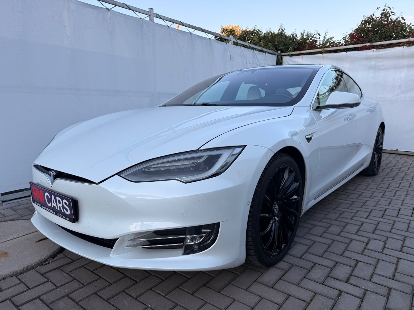 Tesla Model S Long Range, Raven, FSD, DPH